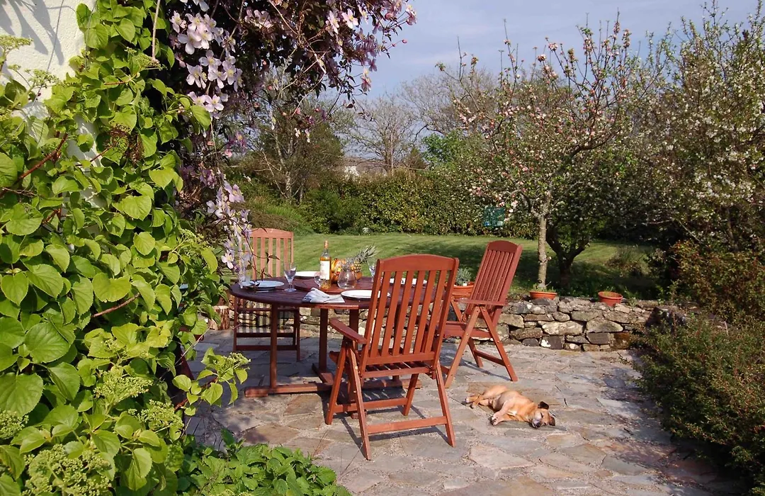 Sharamore House B&B-1