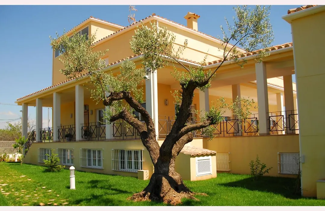 Luz De Azahar Bed And Breakfast-1