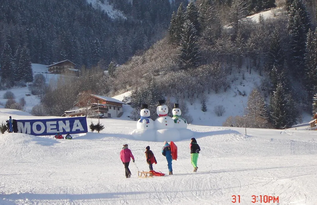 Hotel Stella Alpina-1