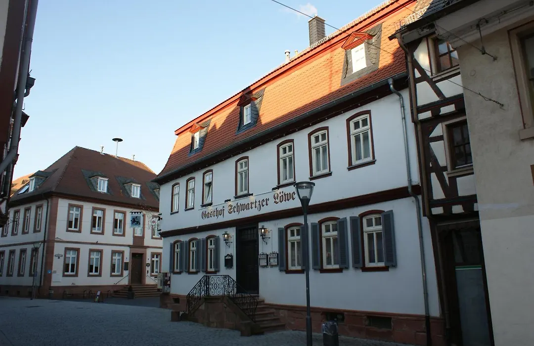 Hotel Schwartzer Löwe-1