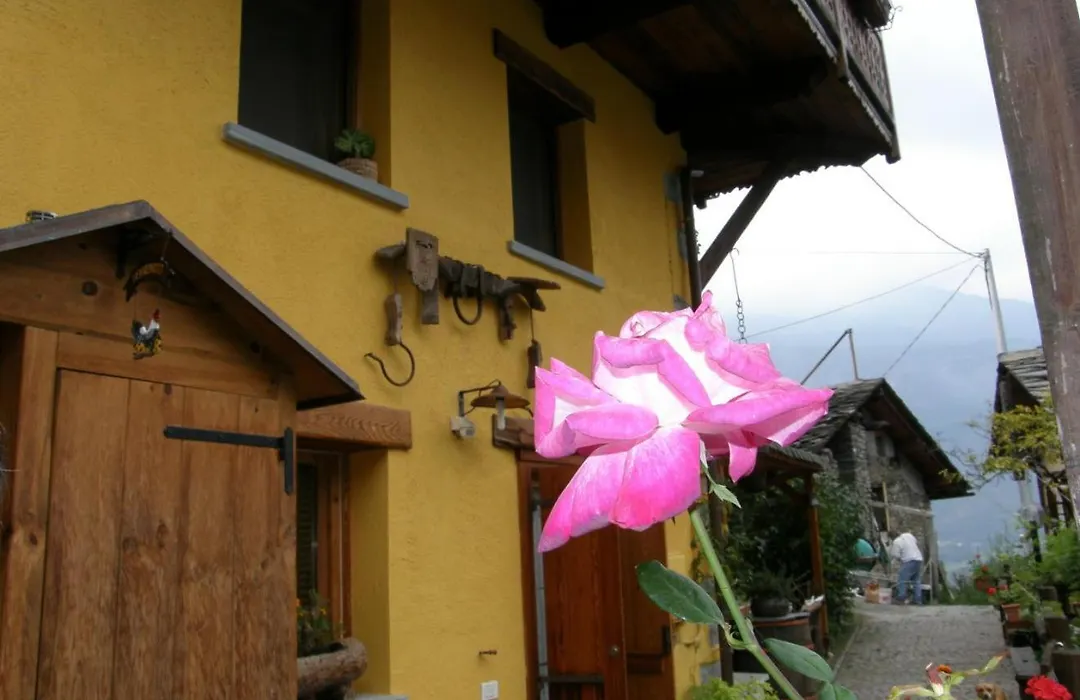 B&B Il Torchio-1