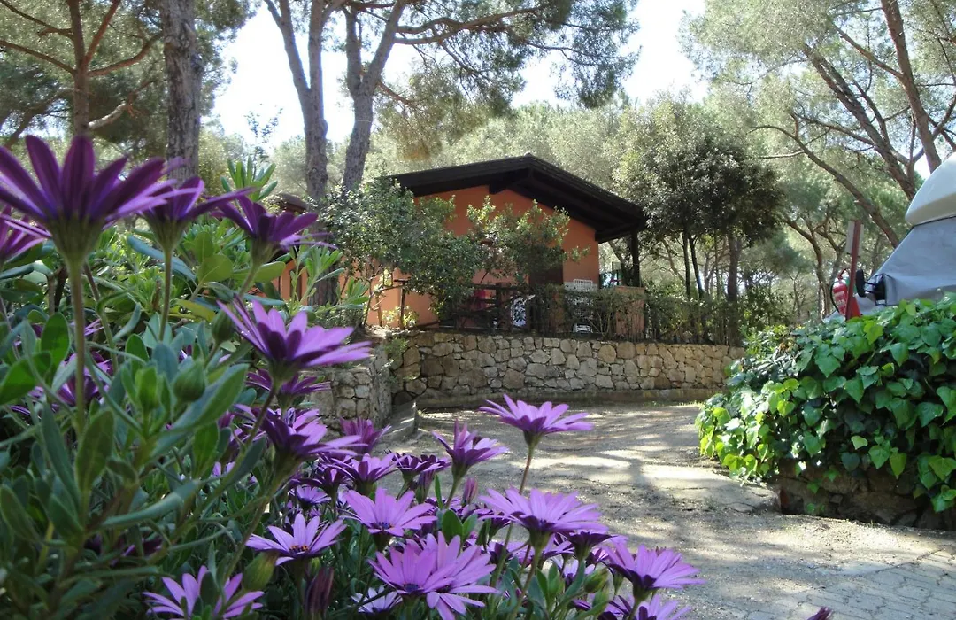 Camping Lacona Pineta-1