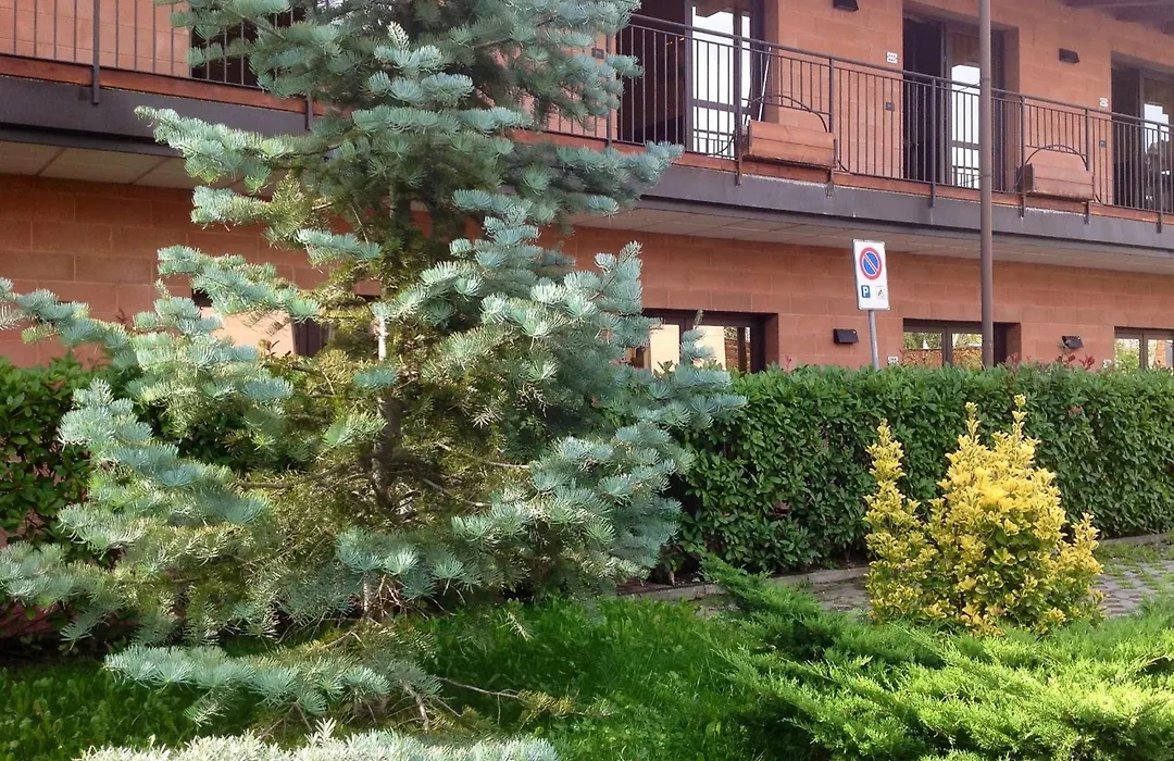 Hotel Regio-1