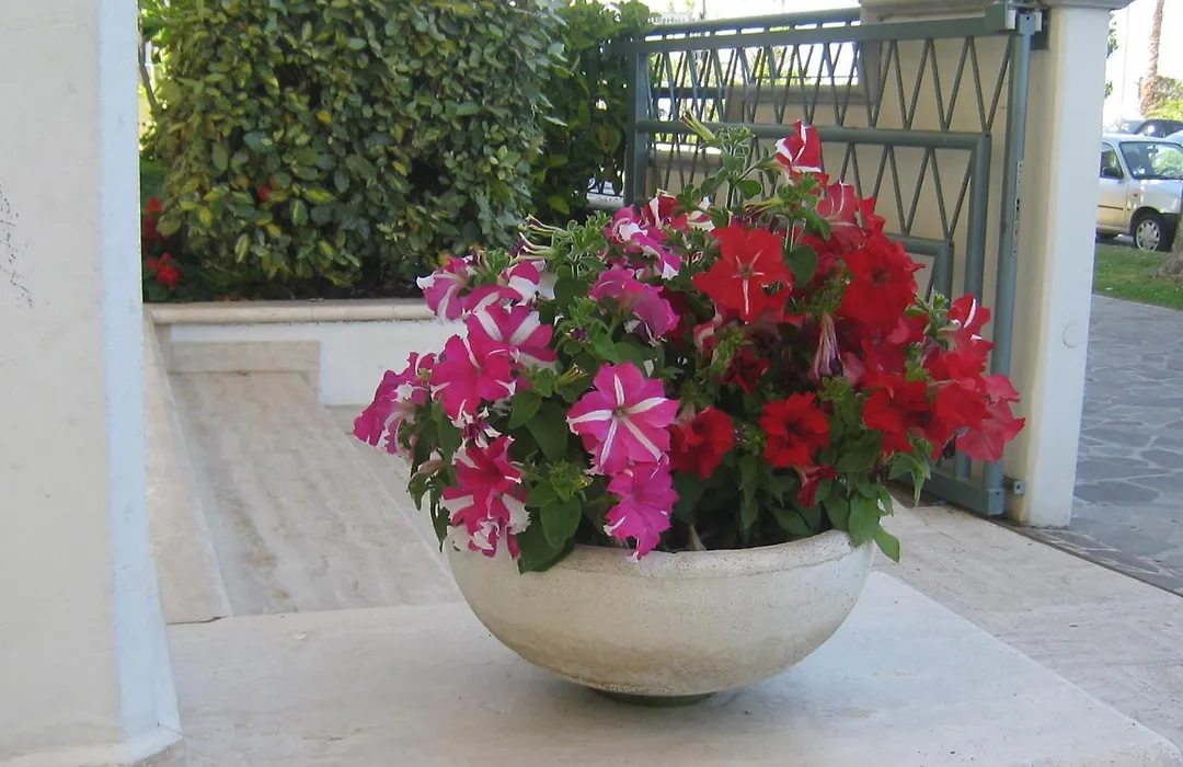 Hotel Miramare-1