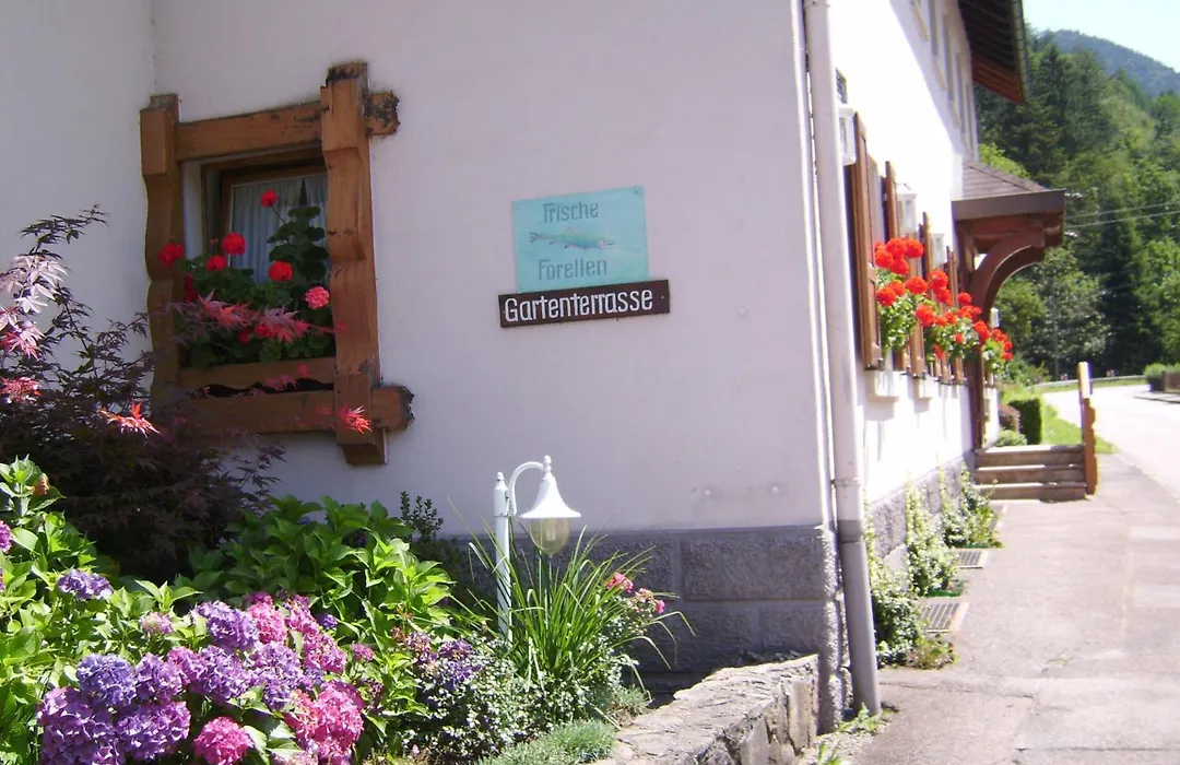 Gasthaus Zur Erle-1