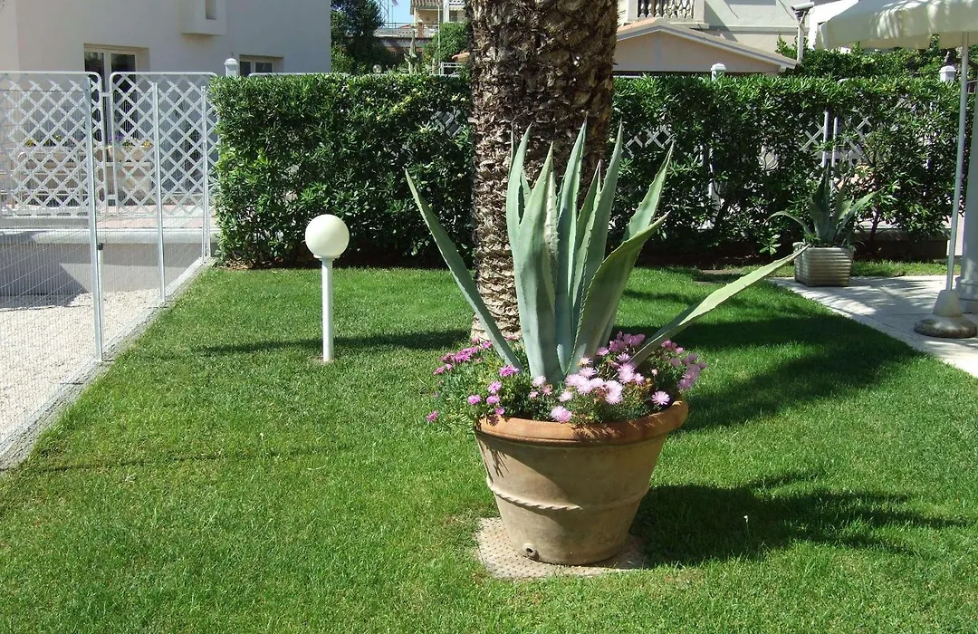 Residence Villa Piani-1