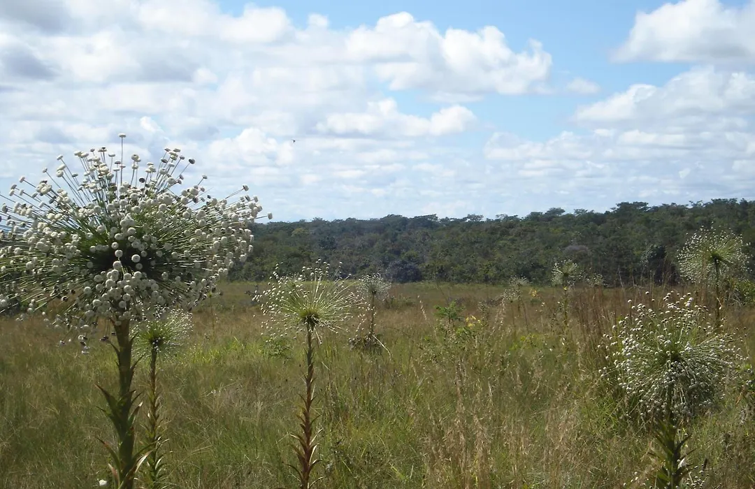 Pousada Jardim da Chapada-1