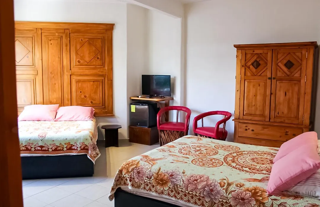 Hotel Allende-1