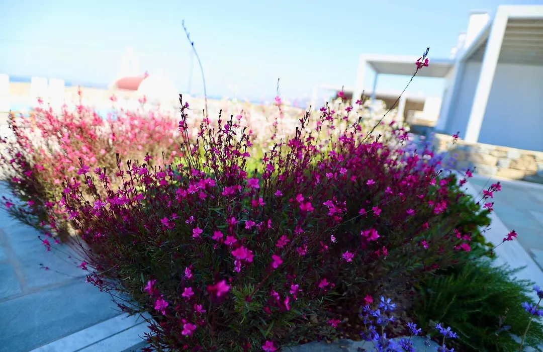 Margie Mykonos Hotel-1