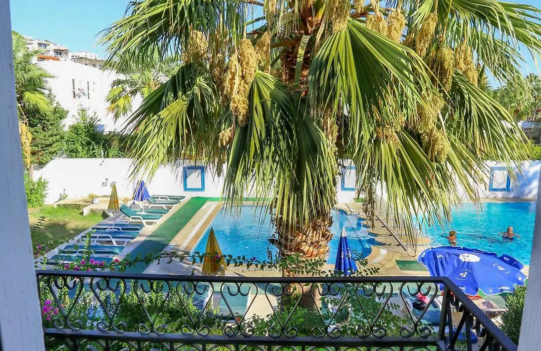 Hotel Baba-1