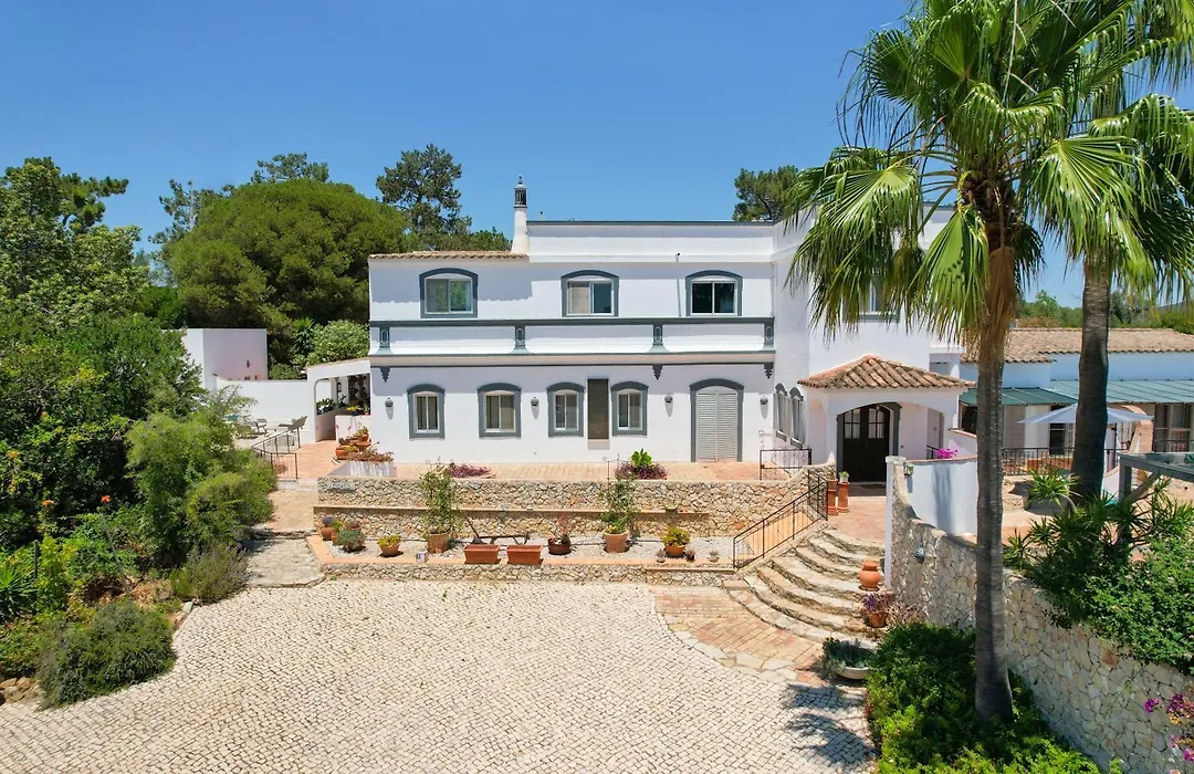 The Lemon Tree Villa-1