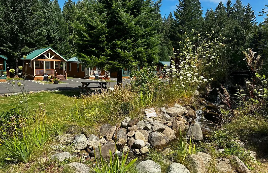 Packwood Lodge & Cabins-1