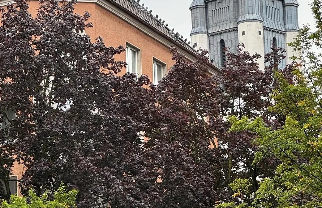 Hotel Drei Kronen-1