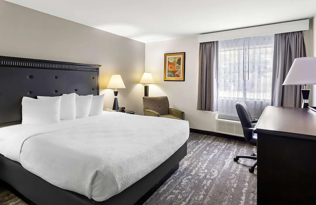 Best Western Saluki Inn-1