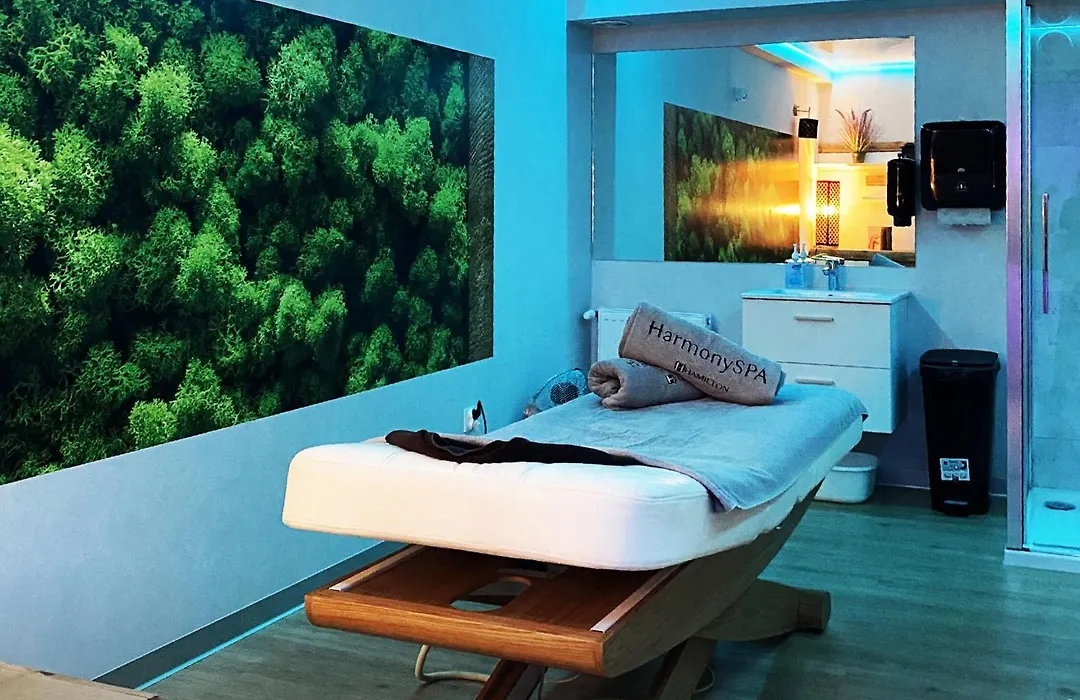 Hotel Hamilton SPA&Wellness-1