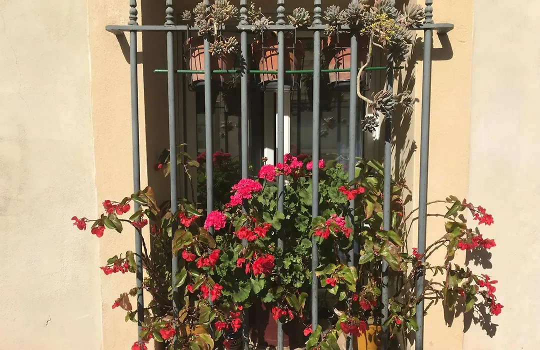 Simone'S Houses-1