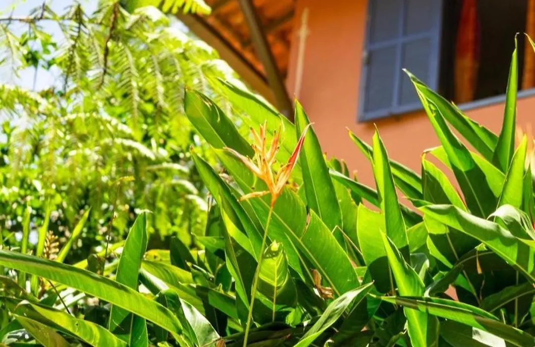 Sítio Flor das Águas-1