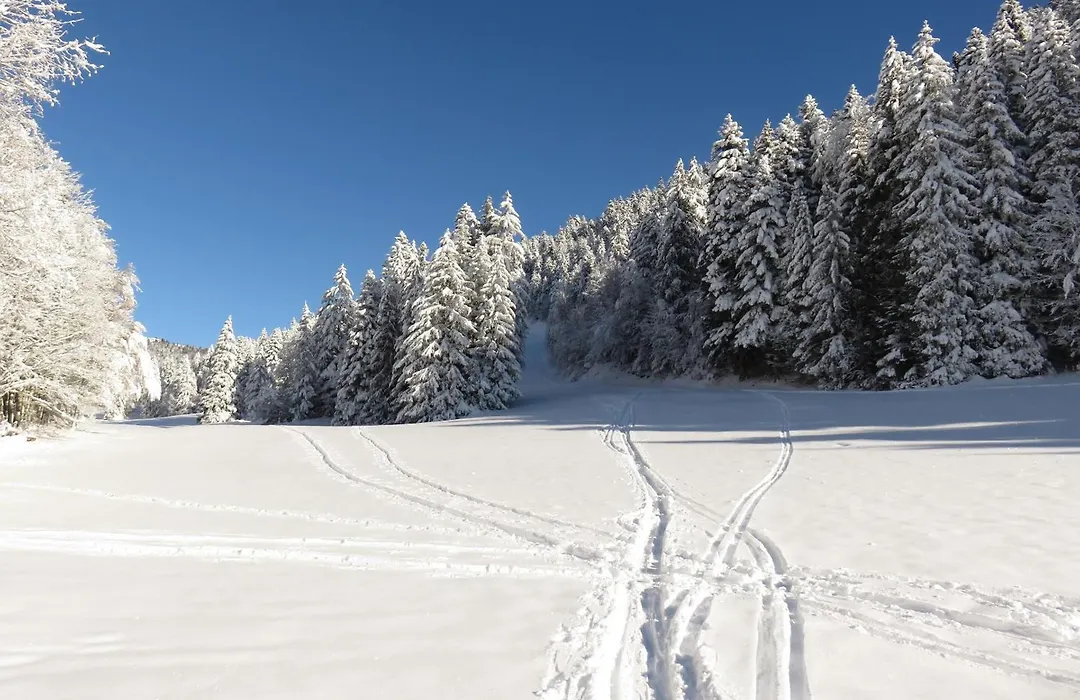 Gîte La Résilience, sur la piste de ski d'Autrans-1