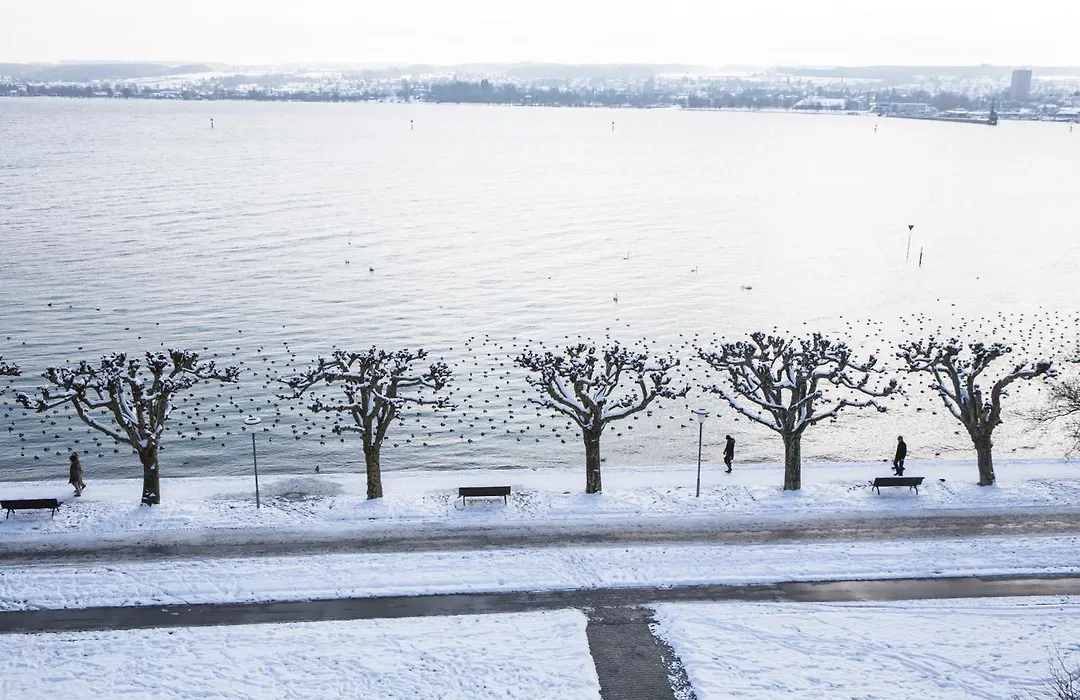 RIVA - Das Hotel am Bodensee-1
