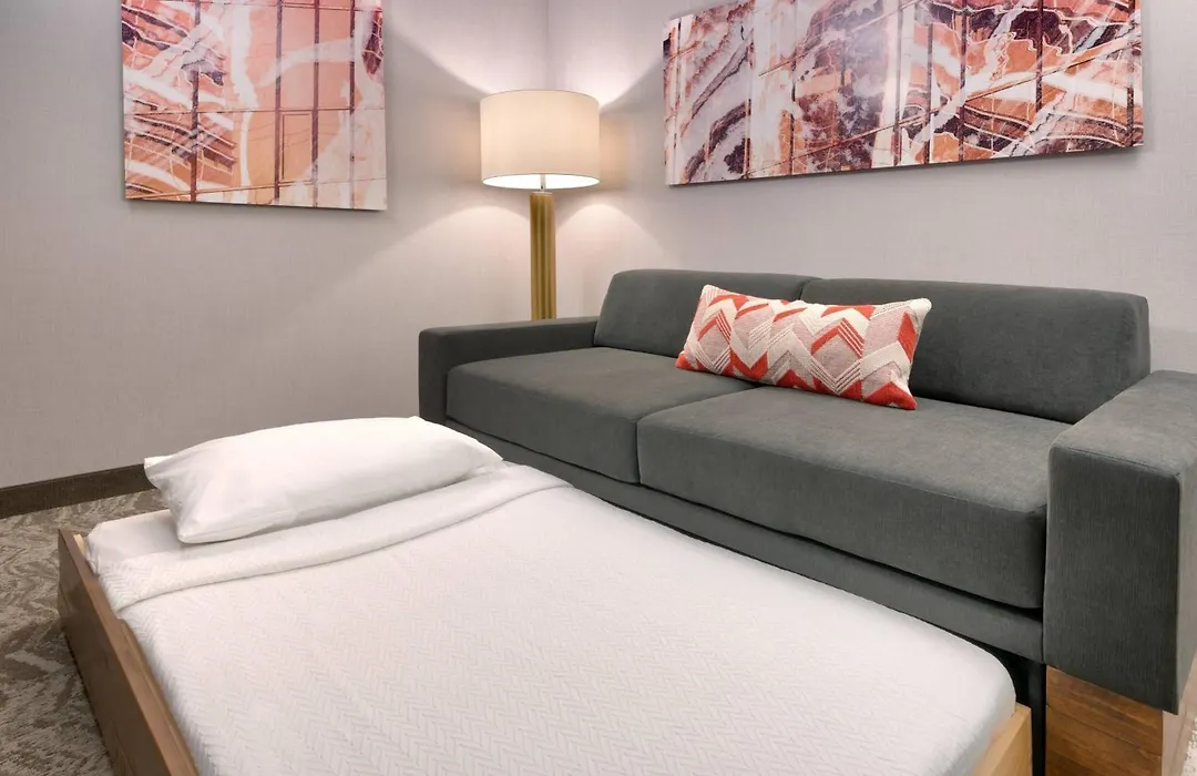 Springhill Suites By Marriott Salt Lake City Sugar House-1