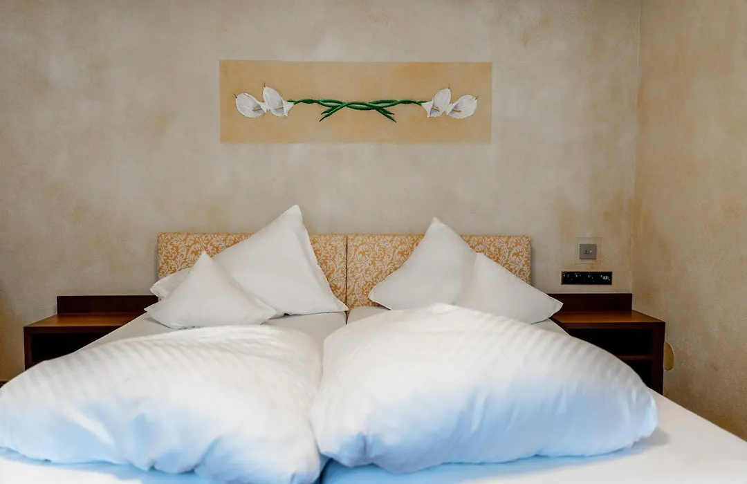 Hotel Maria Theresia-1