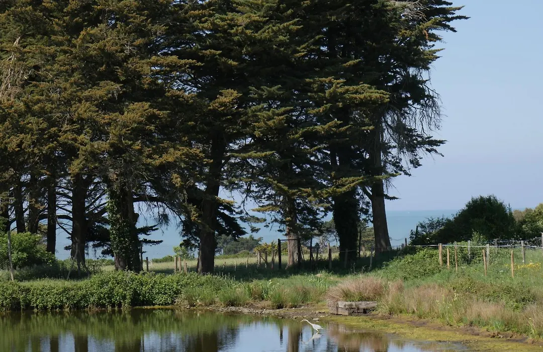Éco-Domaine La Fontaine-1