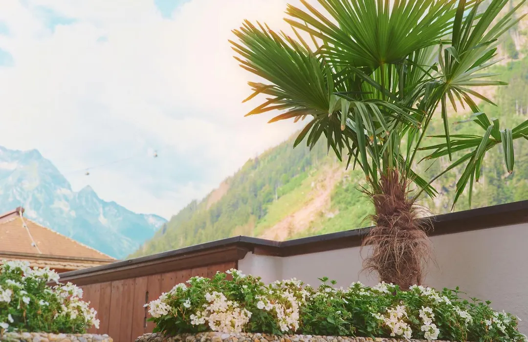 Hotel Magdalena Mayrhofen-1