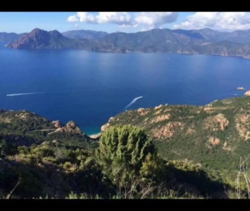 Hotel Les Calanques-1