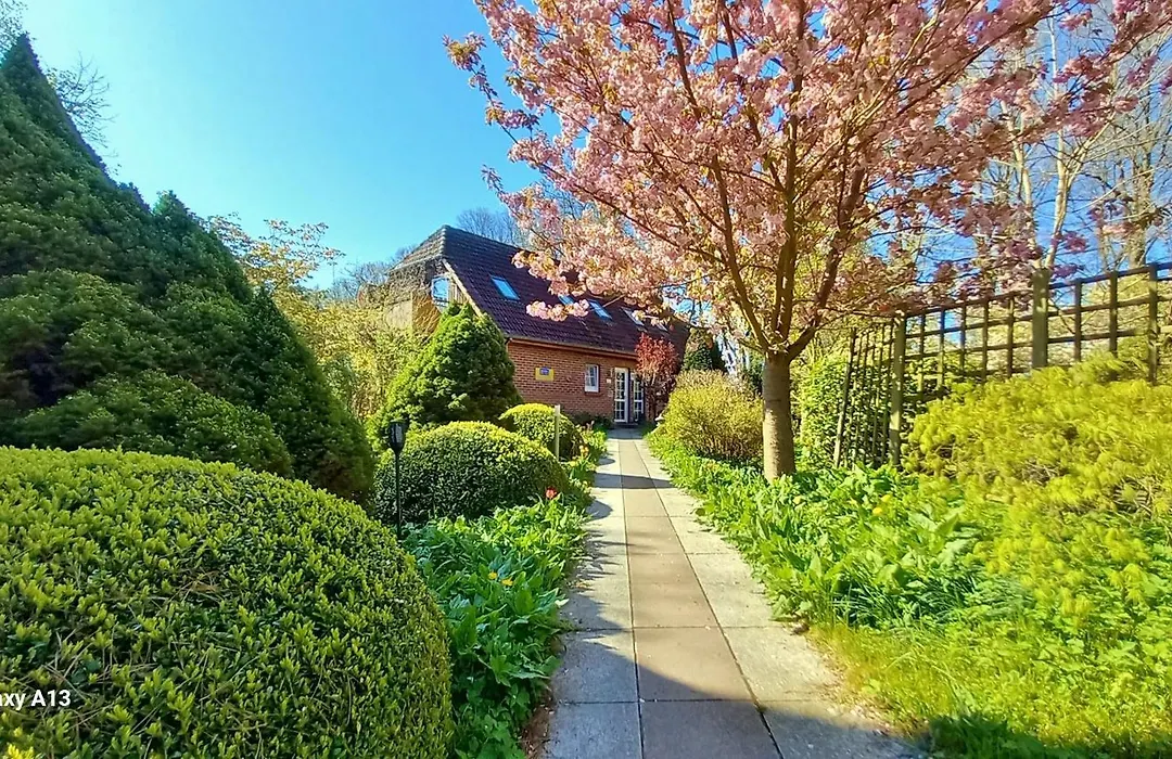 Ostsee-Pension An der Lindenallee-1