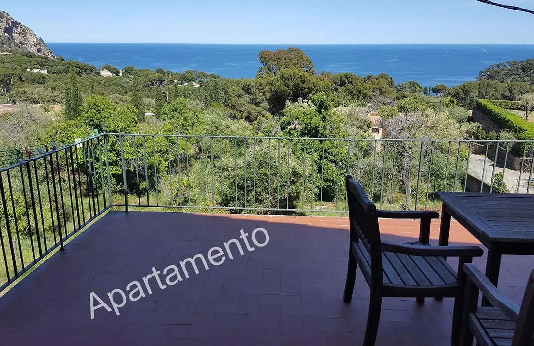 Hostal Sa Barraca - Adults Only-1