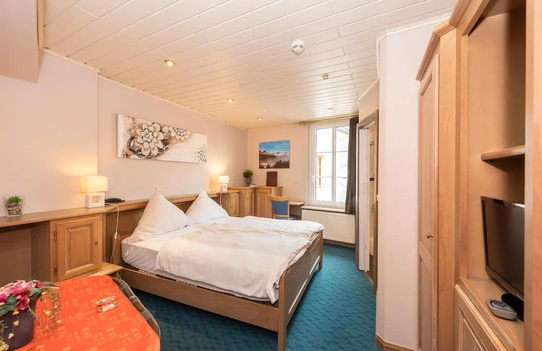 Logis Hotel-Restaurant Petry-1