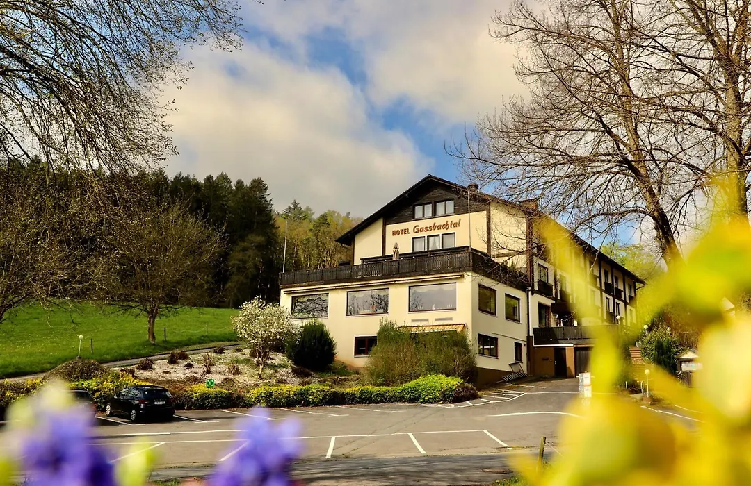 Hotel Gassbachtal-1