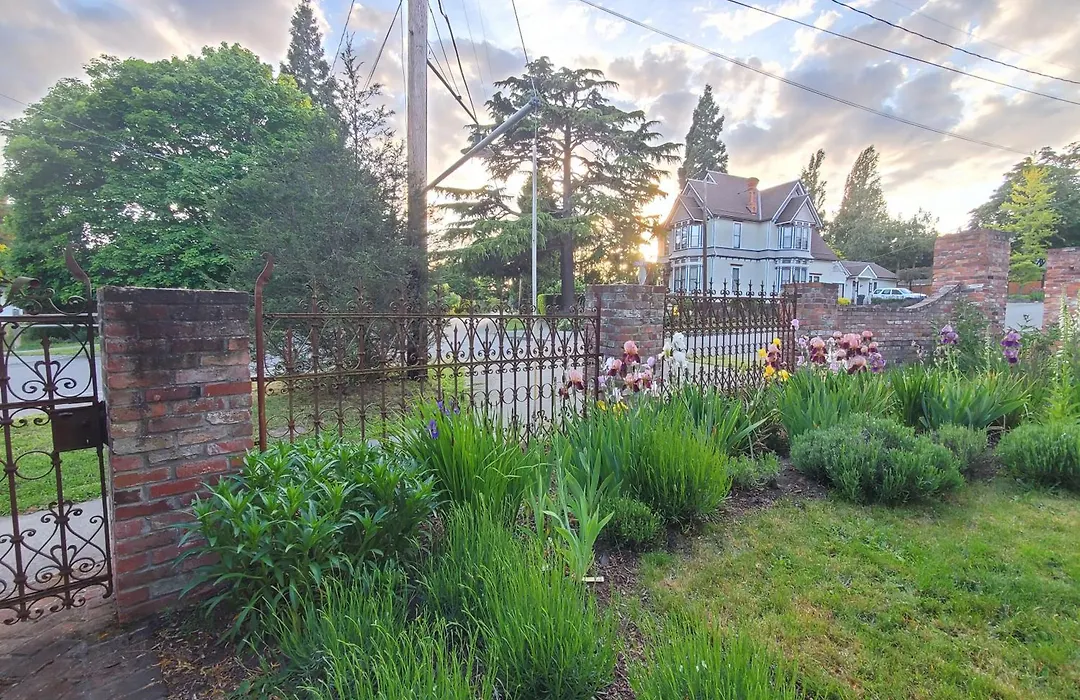Adams Pragge House - Victorian Bed & Breakfast-1