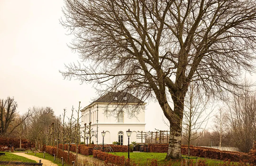 Hotel De Witte Dame-1