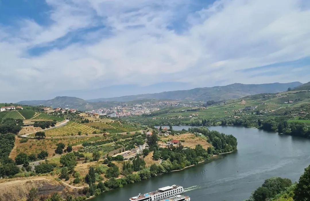 Delfim Douro Hotel-1