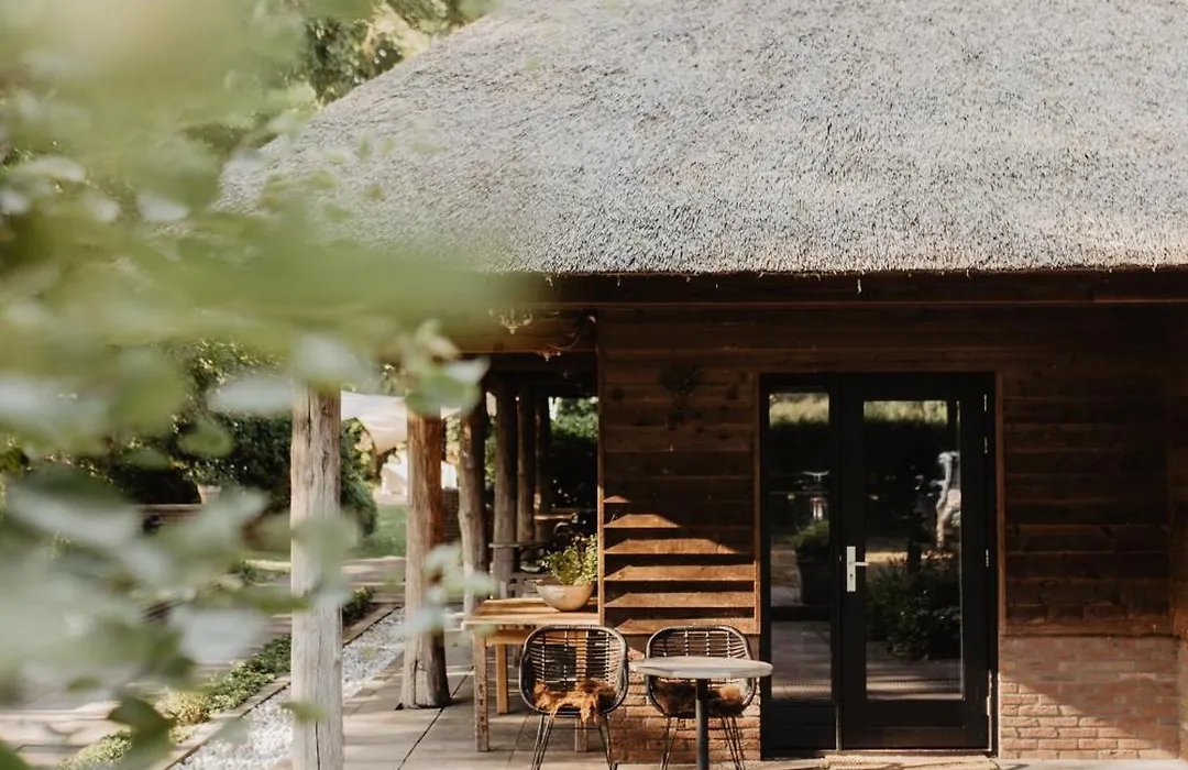 B&B Mollenvlied op de Veluwe-1
