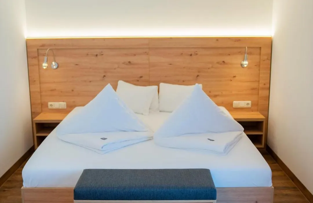 Hotel Alpina-1