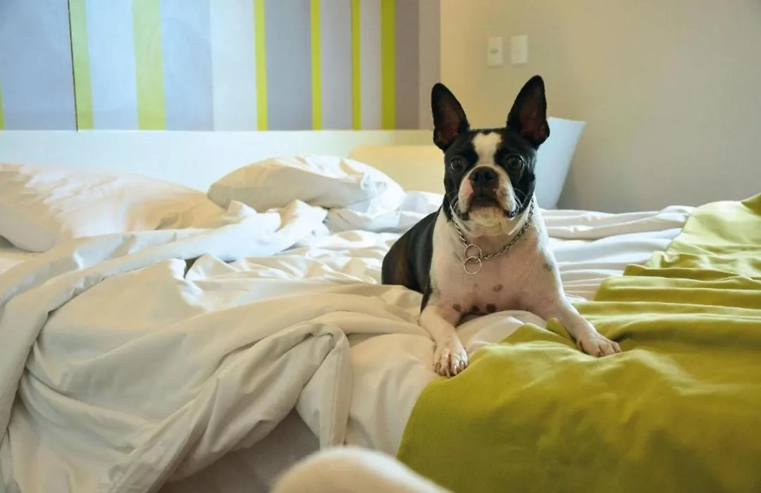 Dmax Hotel-1