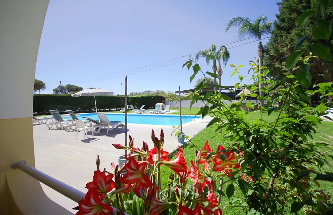 Wot Algarve Soul-1