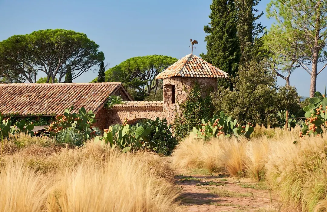 Château Saint Roux Le Luc-Le Cannet des Maures-1