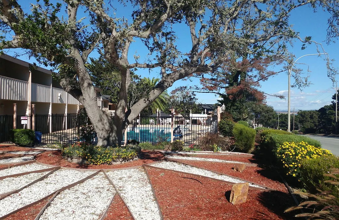 Americas Best Value Presidents Inn On Munras-1
