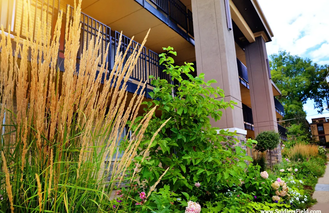 Centerstone Plaza Hotel Soldiers Field - Mayo Clinic Area-1