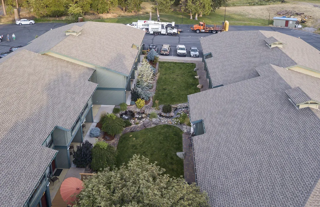 Best Western Plus Tree House-1