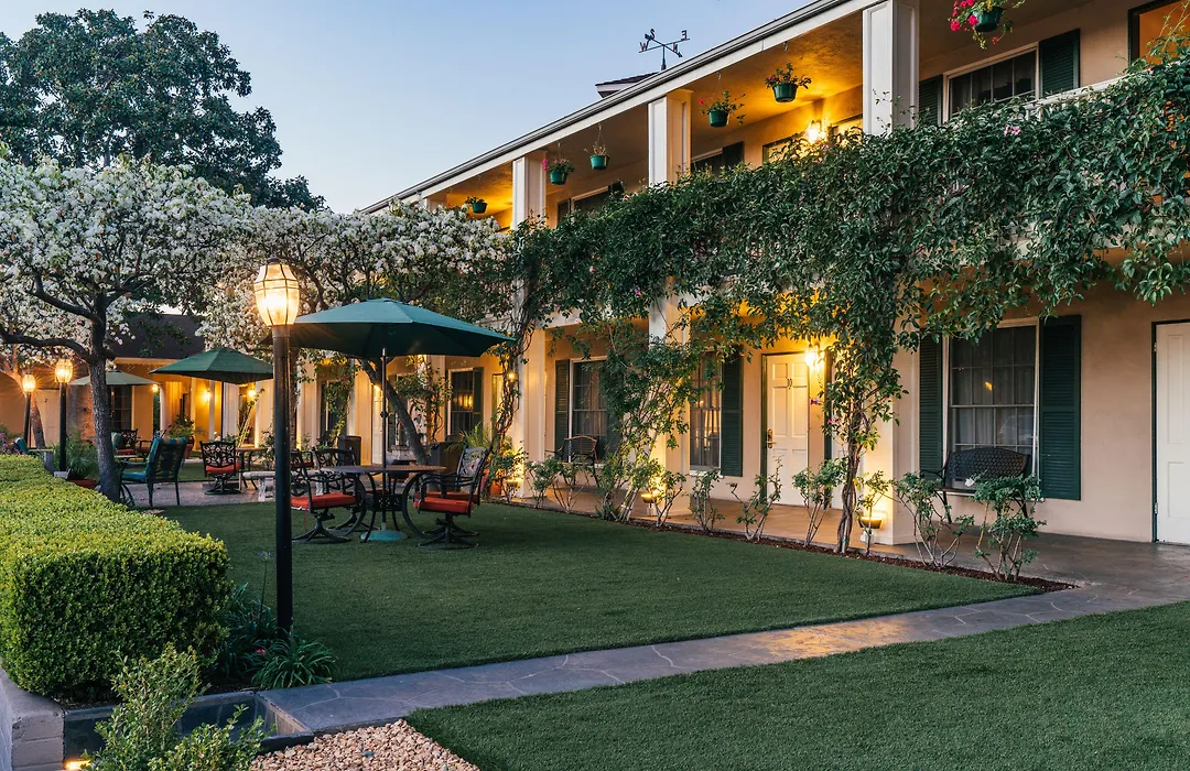 Lavender Inn By The Sea-1