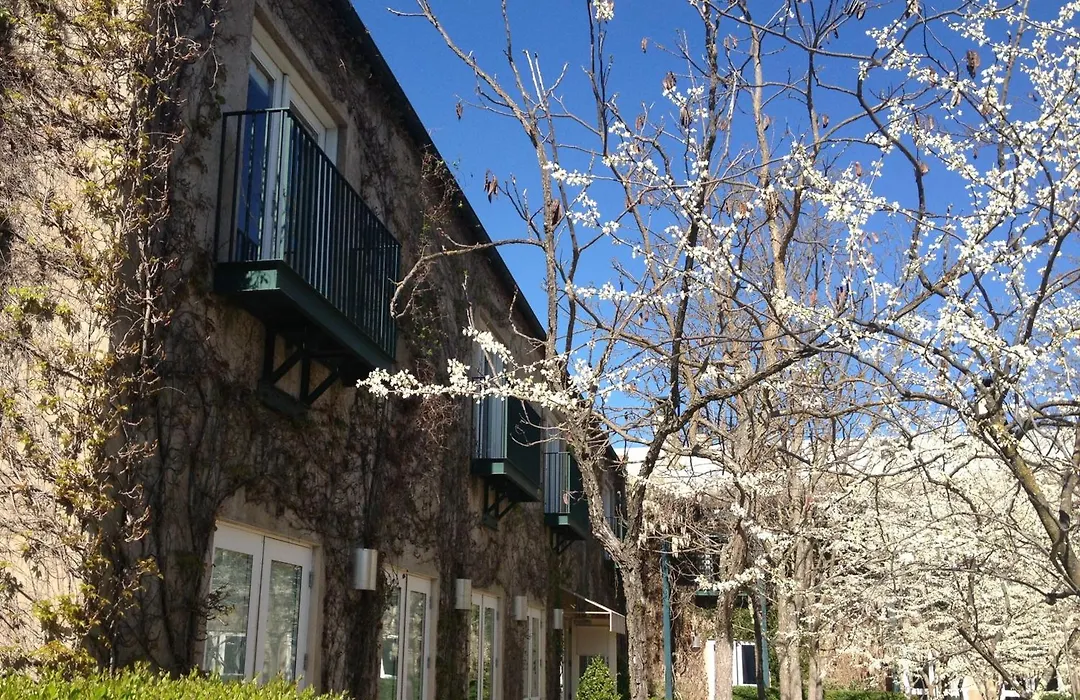 Southbridge Napa Valley-1
