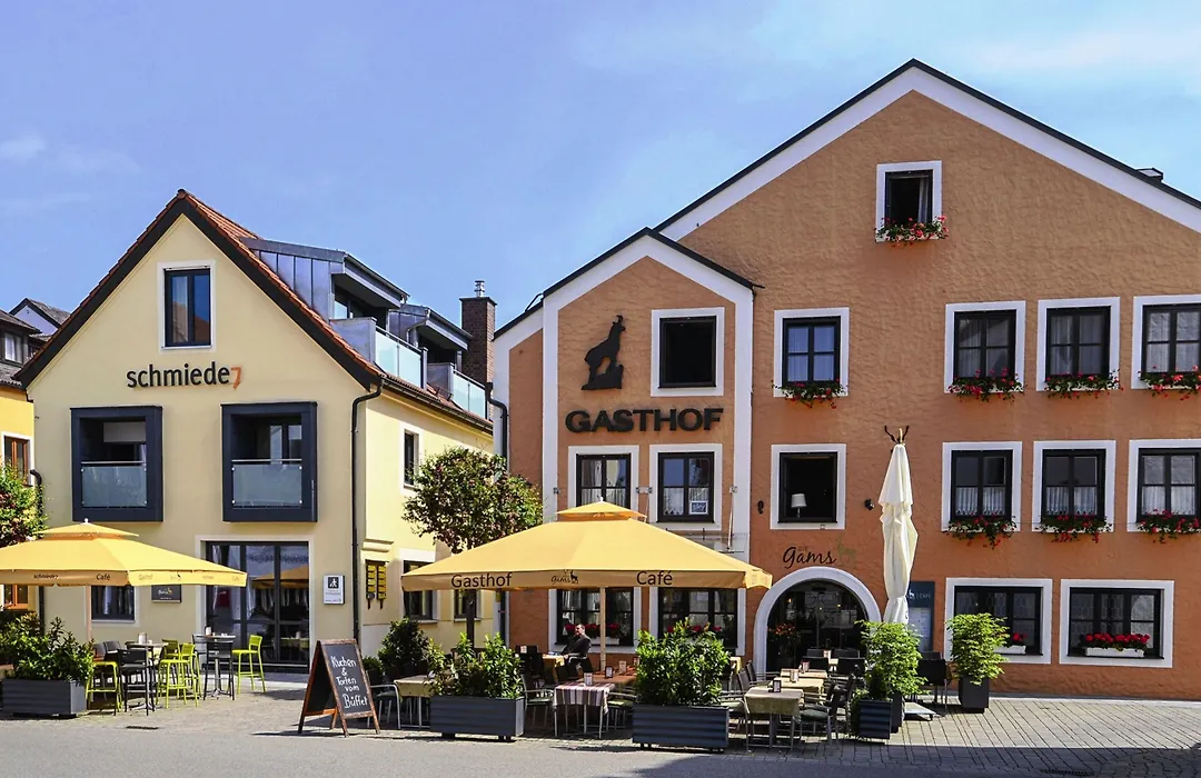 Ringhotel Die Gams-1
