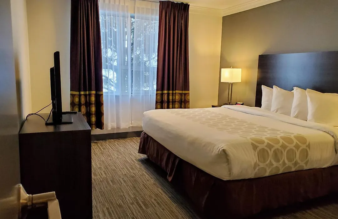 Super 8 By Wyndham Macleod Trail Calgary-1
