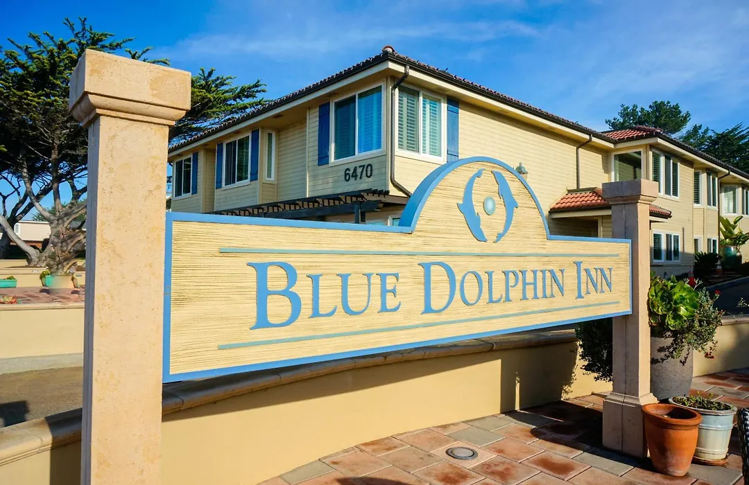 Blue Dolphin Inn-1