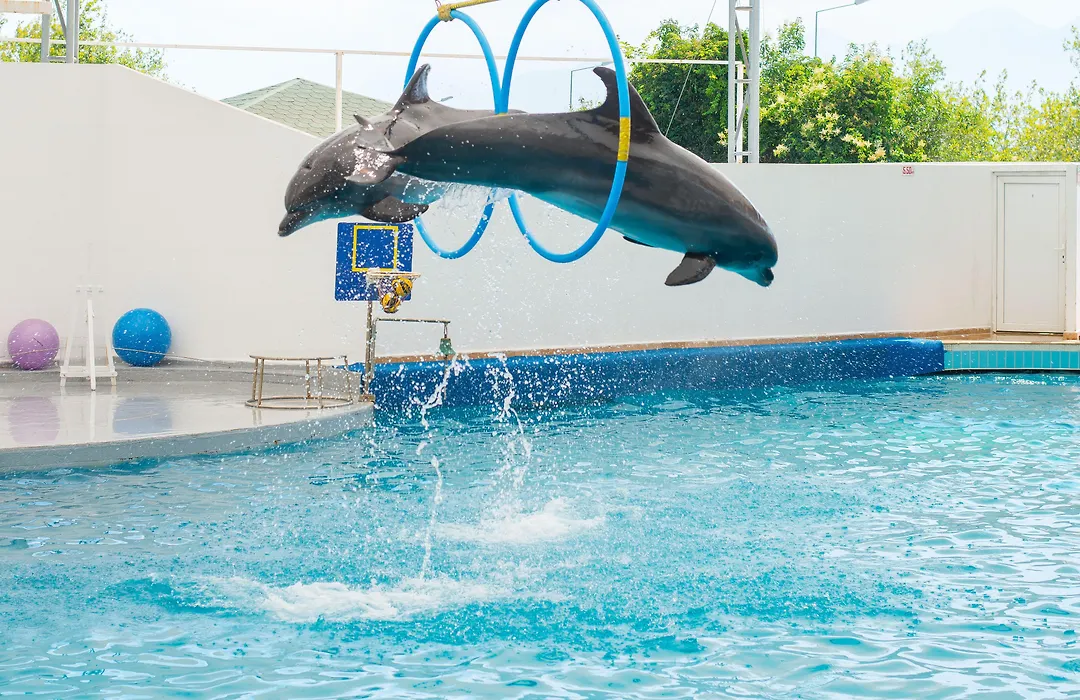 Hotel Su & Aqualand-1