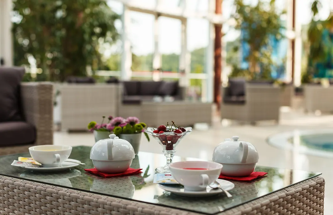 Hotel Terme Millepini-1